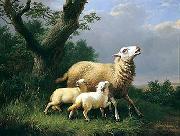 Sheep 074 unknow artist